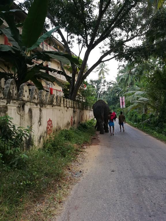 Guesthouse Dilush ベールワラ エクステリア 写真